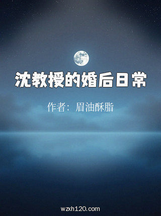沈教授的婚后日常