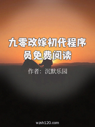 九零改嫁初代程序员免费阅读