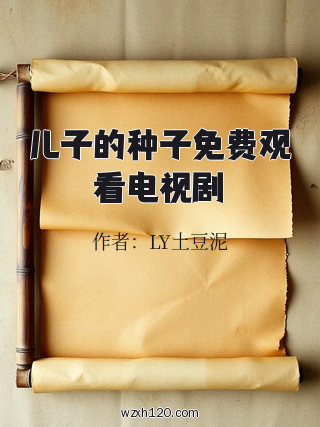 儿子的种子免费观看电视剧