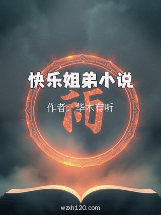 快乐姐弟小说