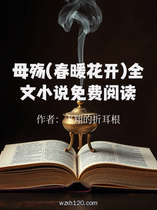 母殇(春暖花开)全文小说免费阅读
