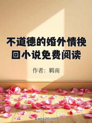 不道德的婚外情挽回小说免费阅读