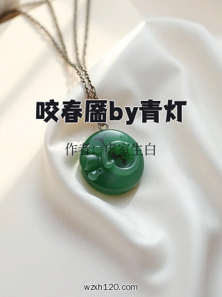 咬春靥by青灯
