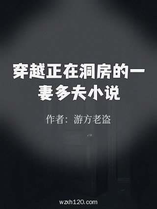 穿越正在洞房的一妻多夫小说