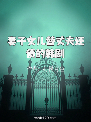 妻子女儿替丈夫还债的韩剧