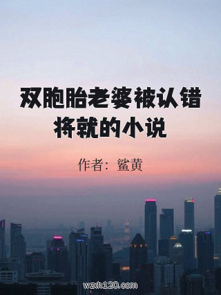 双胞胎老婆被认错将就的小说