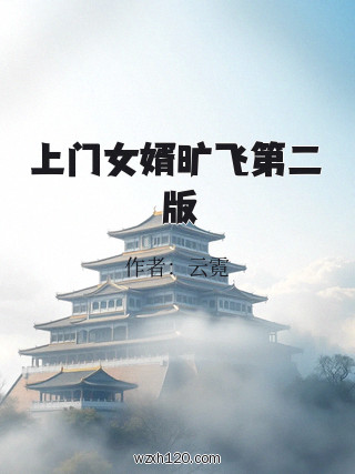 上门女婿旷飞第二版
