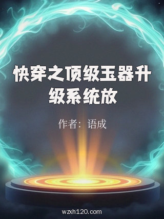 快穿之顶级玉器升级系统放