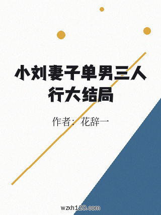 小刘妻子单男三人行大结局
