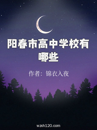 阳春市高中学校有哪些