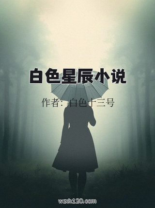 白色星辰小说