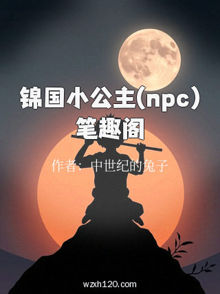 锦国小公主(npc)笔趣阁