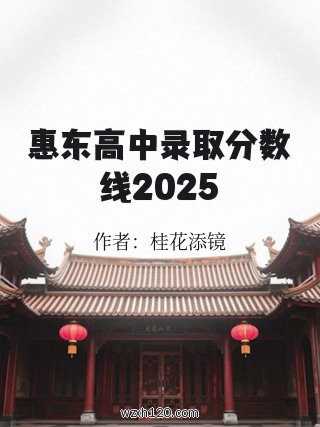 惠东高中录取分数线2025