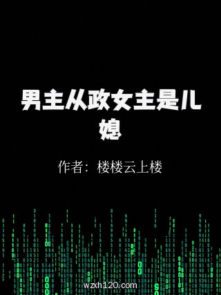 男主从政女主是儿媳