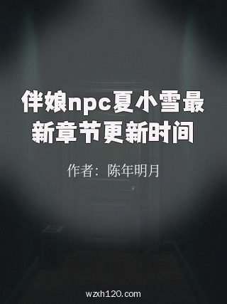 伴娘npc夏小雪最新章节更新时间