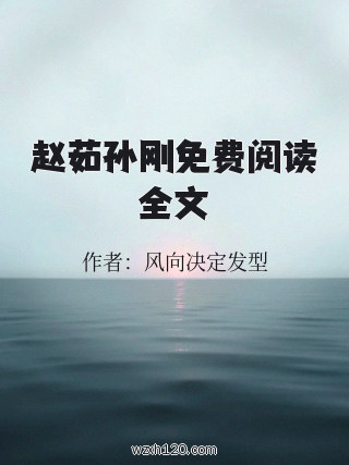 赵茹孙刚免费阅读全文