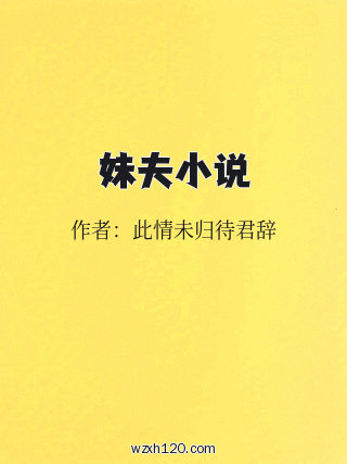 妹夫小说