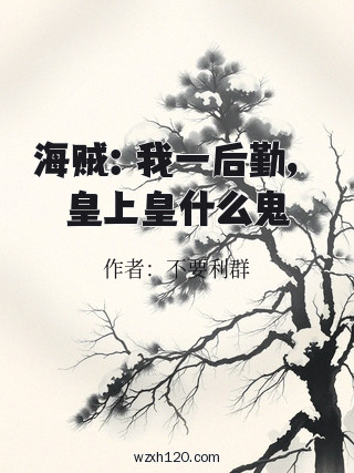 海贼:我一后勤,皇上皇什么鬼
