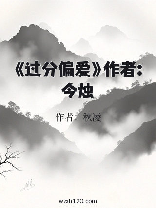 《过分偏爱》作者:今烛