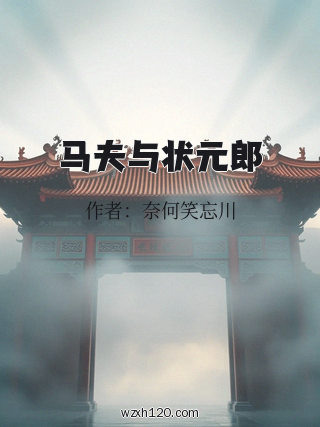 马夫与状元郎