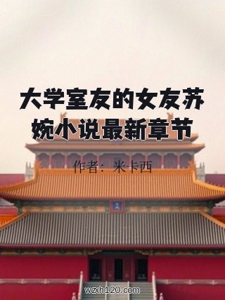 大学室友的女友苏婉小说最新章节