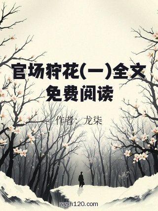 官场狩花(一)全文免费阅读