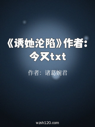 《诱她沦陷》作者:今又txt