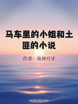 马车里的小姐和土匪的小说