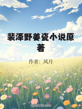 裴泽野姜瓷小说原著
