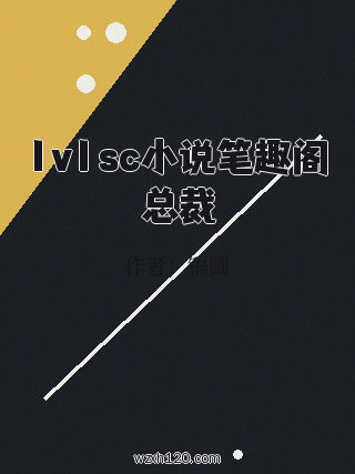 1v1sc小说笔趣阁总裁