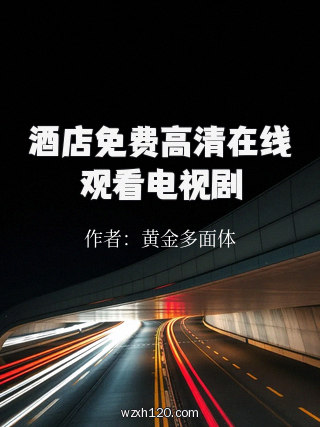 酒店免费高清在线观看电视剧