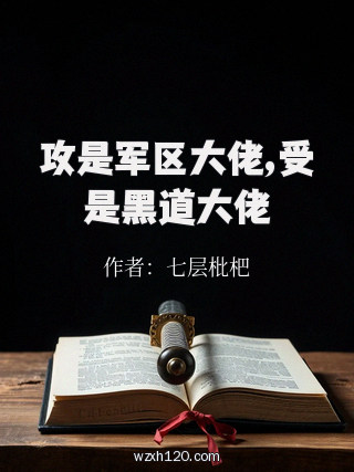 攻是军区大佬,受是黑道大佬