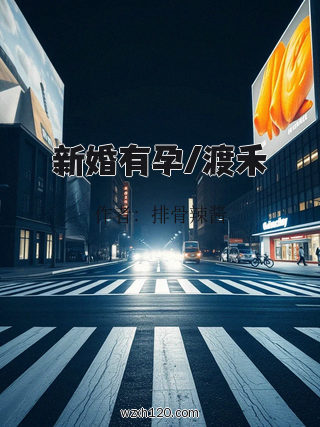 新婚有孕/渡禾