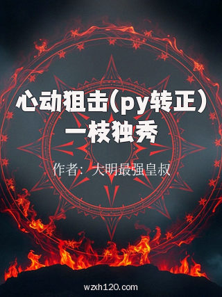 心动狙击(py转正)一枝独秀