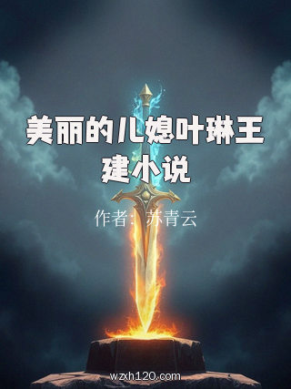 美丽的儿媳叶琳王建小说