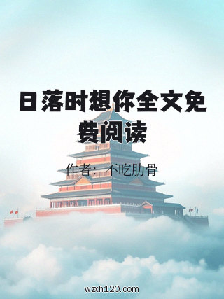 日落时想你全文免费阅读