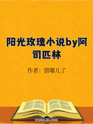 阳光玫瑰小说by阿司匹林