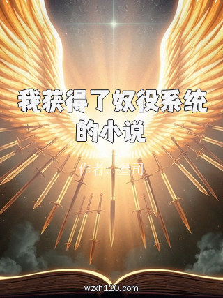 我获得了奴役系统的小说