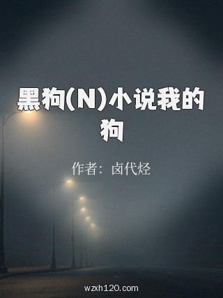 黑狗(N)小说我的狗