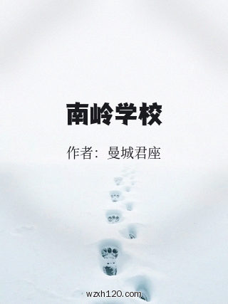 南岭学校