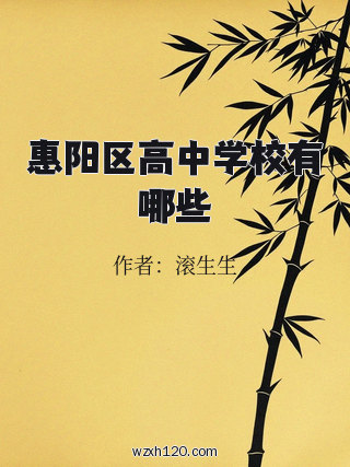 惠阳区高中学校有哪些