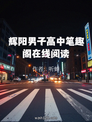辉阳男子高中笔趣阁在线阅读