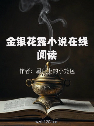 金银花露小说在线阅读