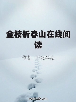 金枝折春山在线阅读