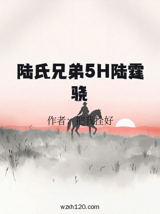 陆氏兄弟5H陆霆骁
