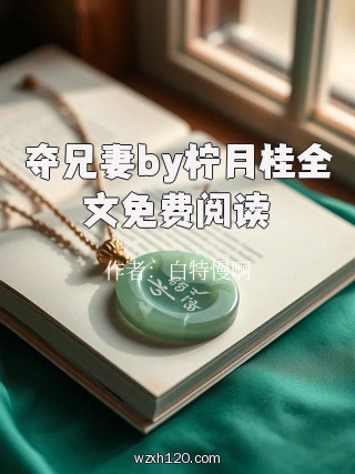 夺兄妻by柠月桂全文免费阅读