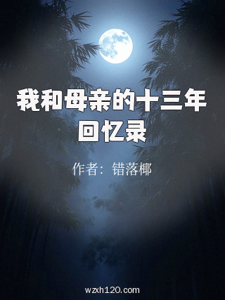 我和母亲的十三年回忆录