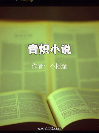 青炽小说