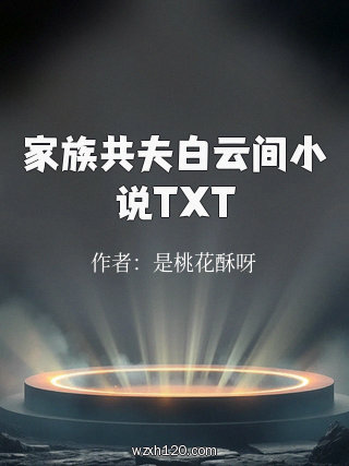 家族共夫白云间小说TXT