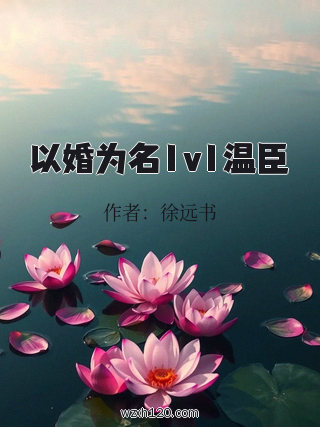 以婚为名1v1温臣